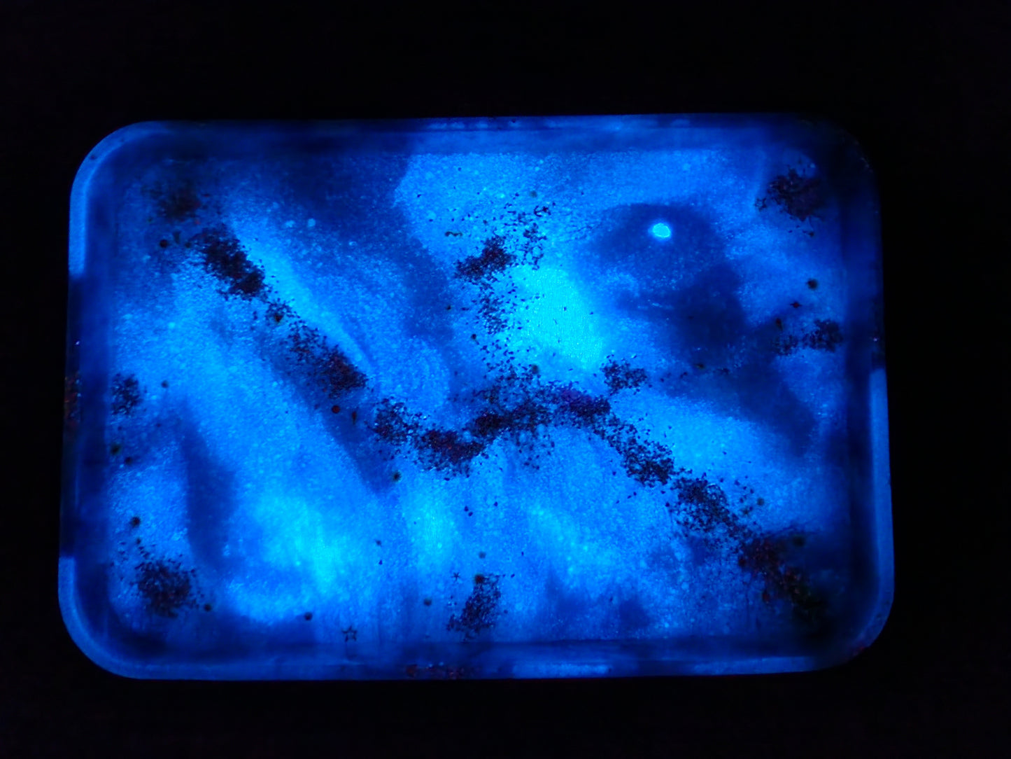 Ocean Treasures Tray